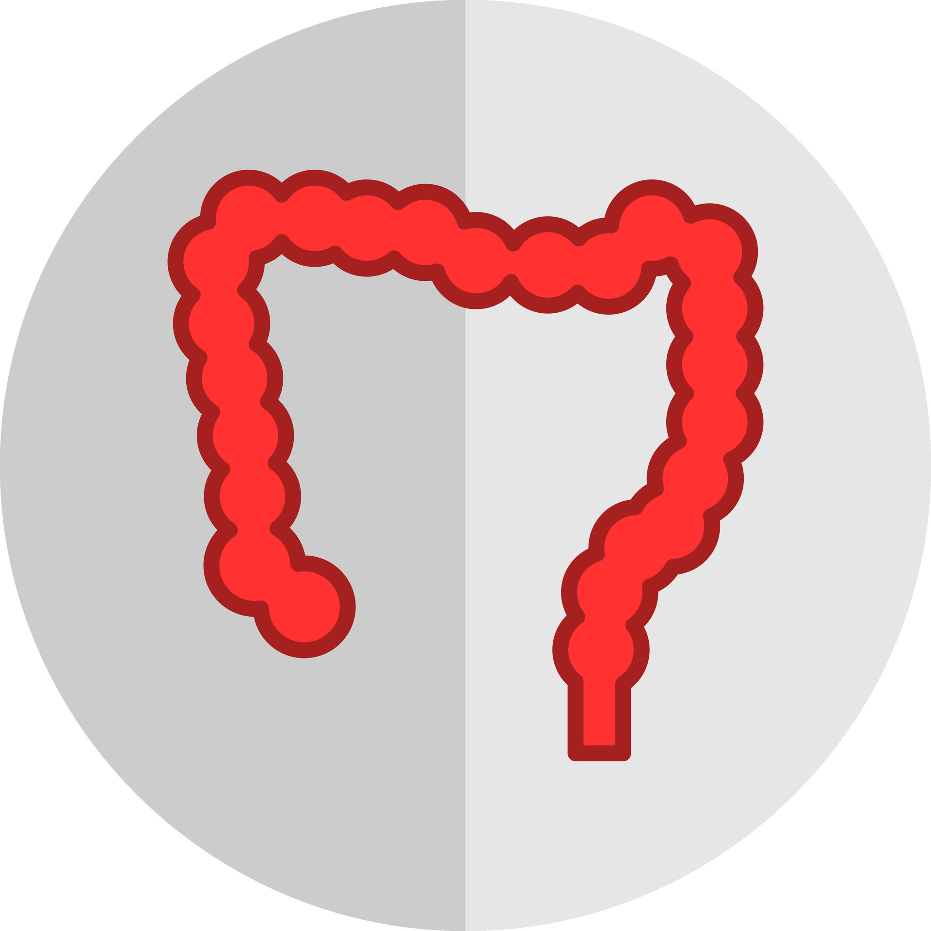 Large Intestine Vector Icon Design 24966764 Vector Art At Vecteezy Large Intestine Vector Icon Design 24966764 Vector Art At Vecteezy