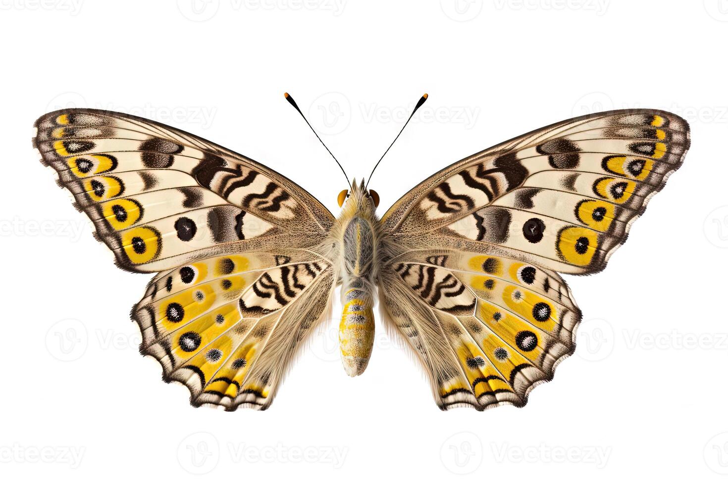 mariposa con vistoso alas aislado en blanco. generativo ai foto