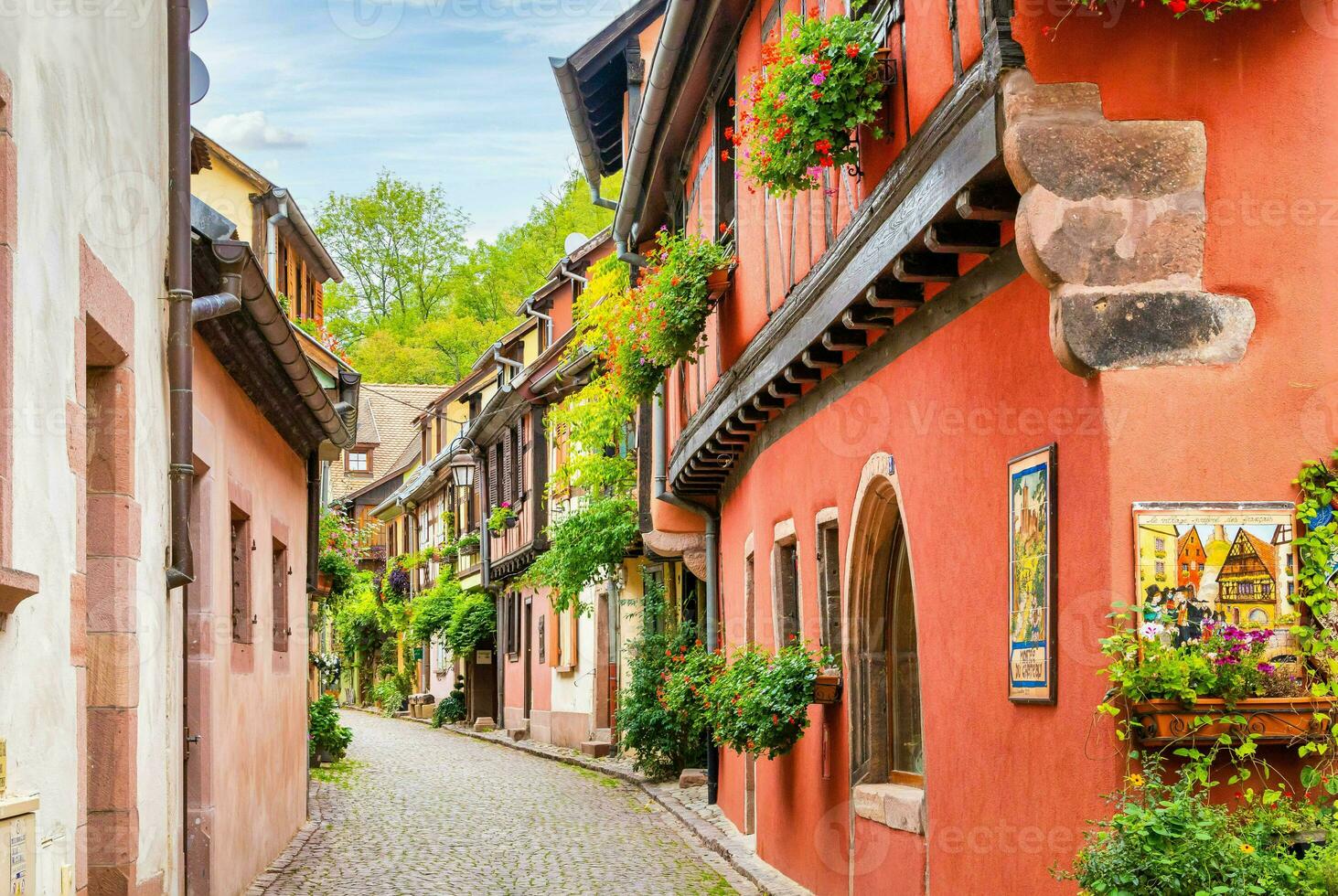 Scenery of Alsace region in France photo