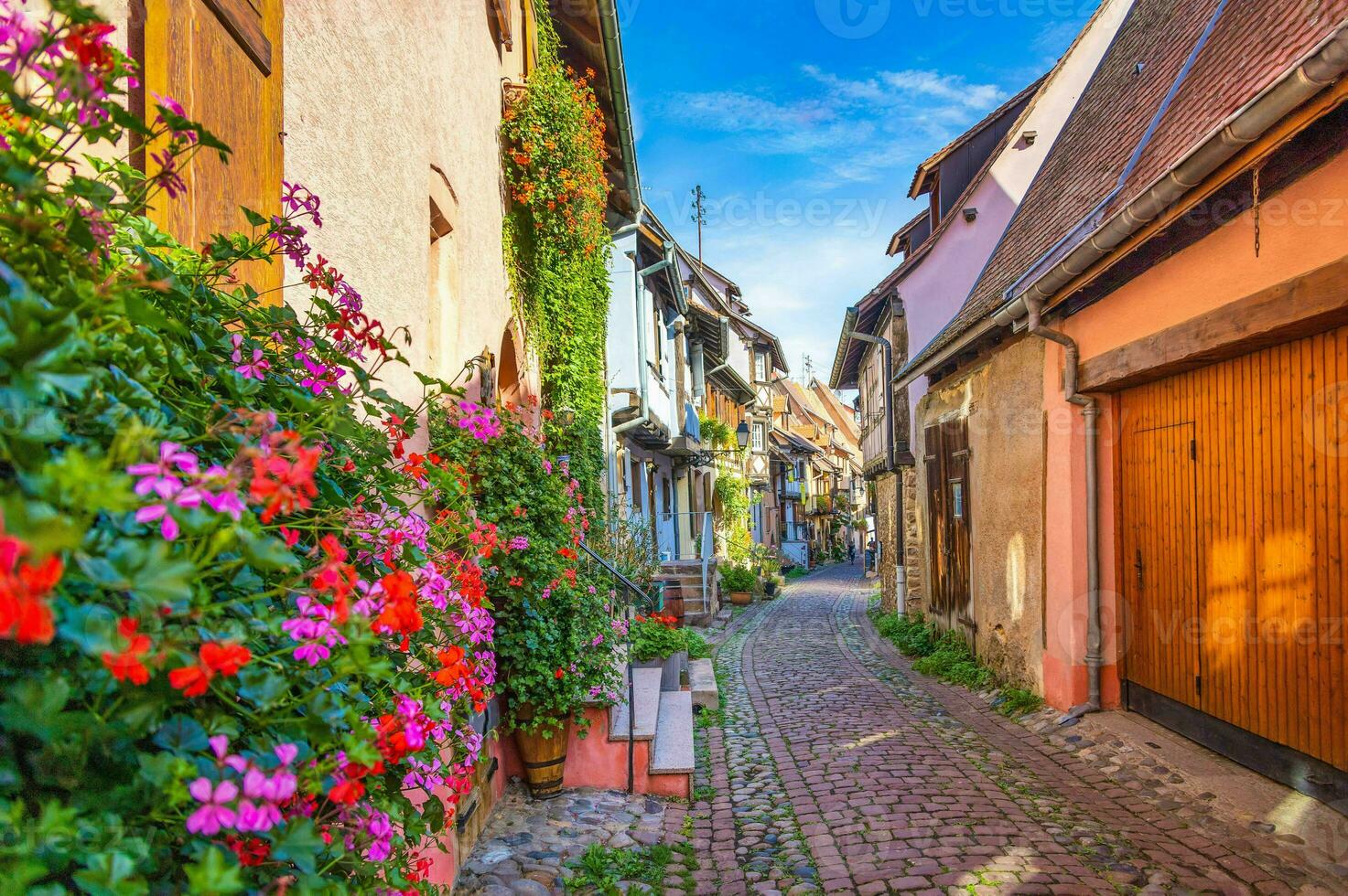 Scenery of Alsace region in France photo