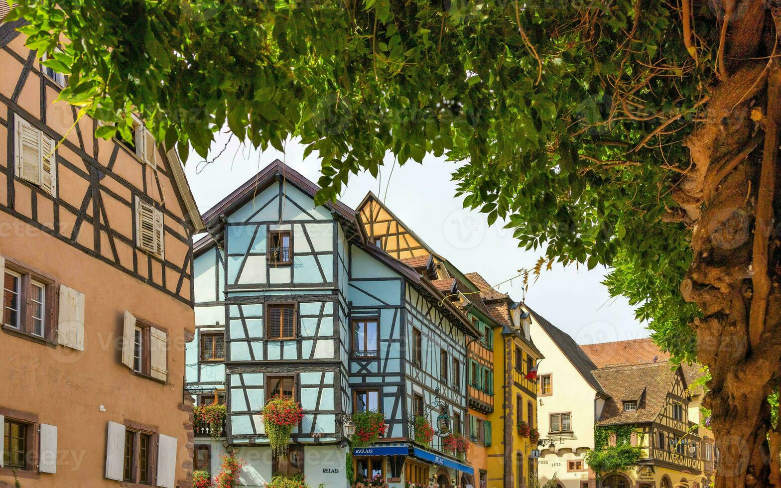 paisaje de Alsacia región en Francia foto