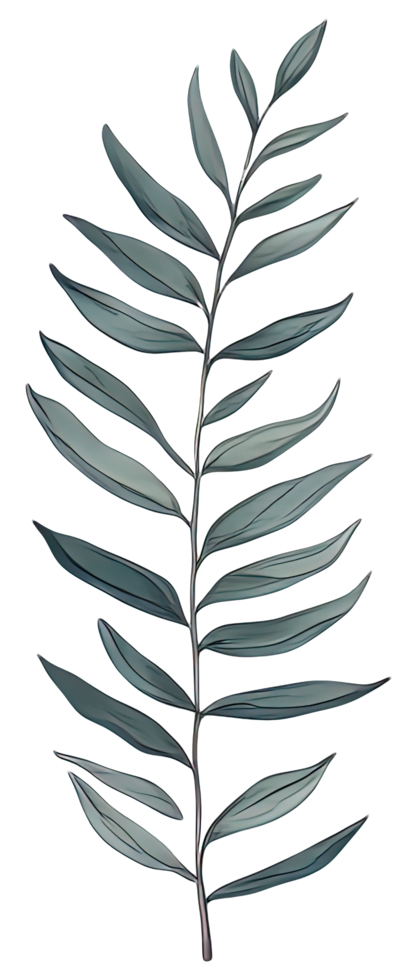 Watercolor green leaf. png