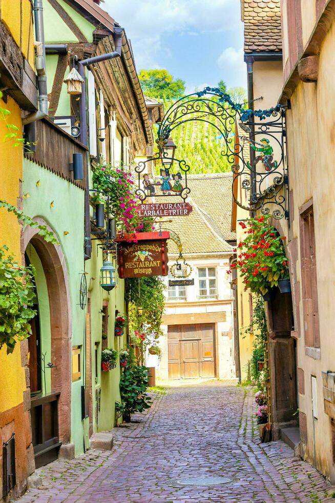 Scenery of Alsace region in France photo