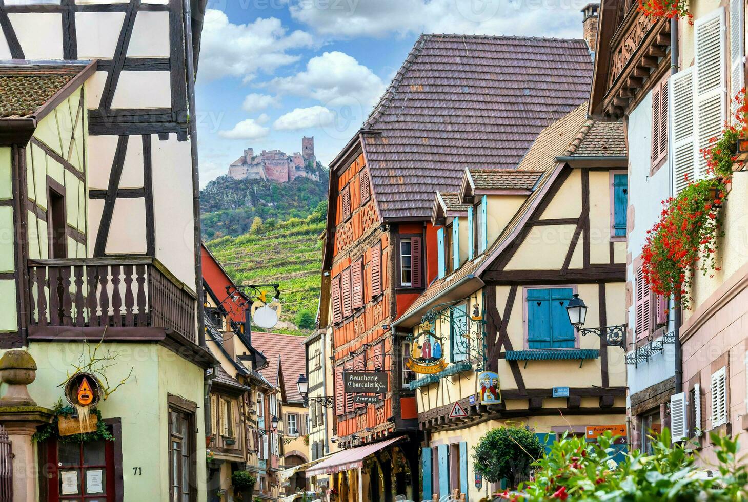 paisaje de Alsacia región en Francia foto