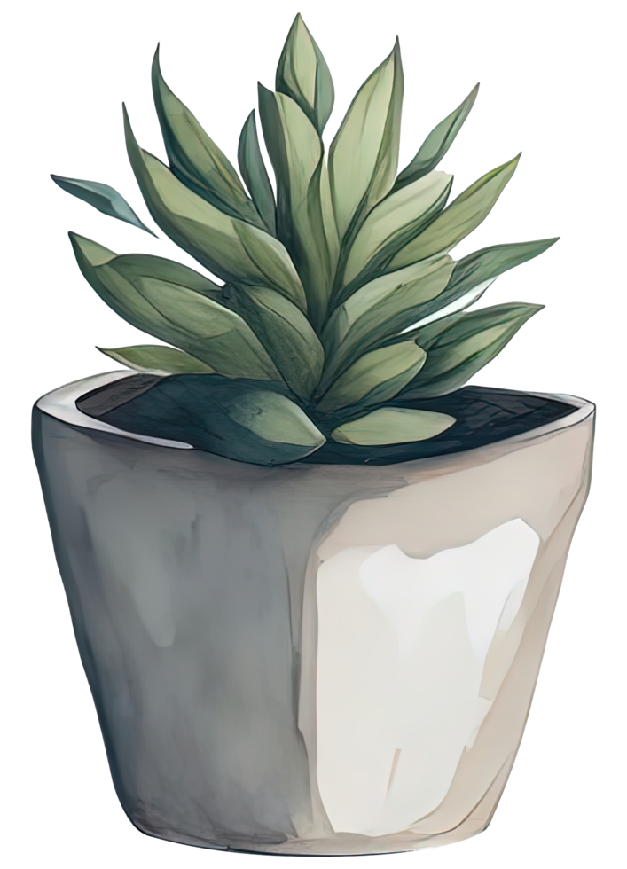 Watercolor House plant. png