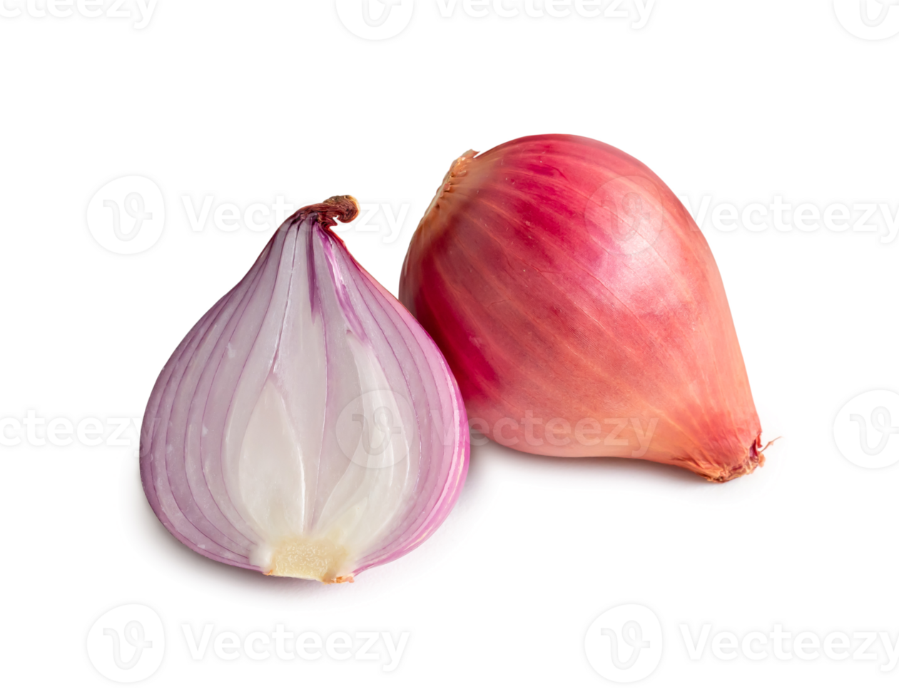 Fresh red onion bulb with half isolated with clipping path in png file format