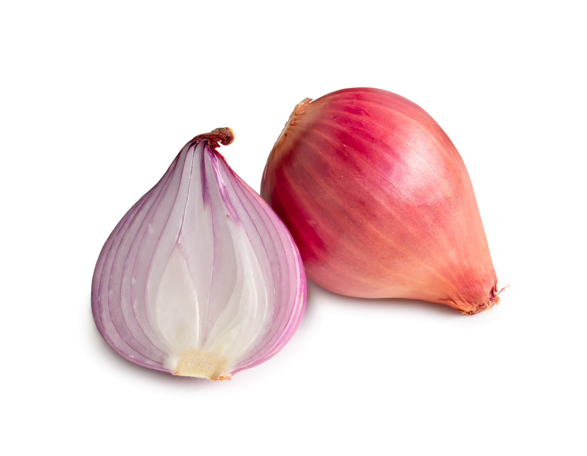 Fresh red onion bulb with half isolated with clipping path in png file