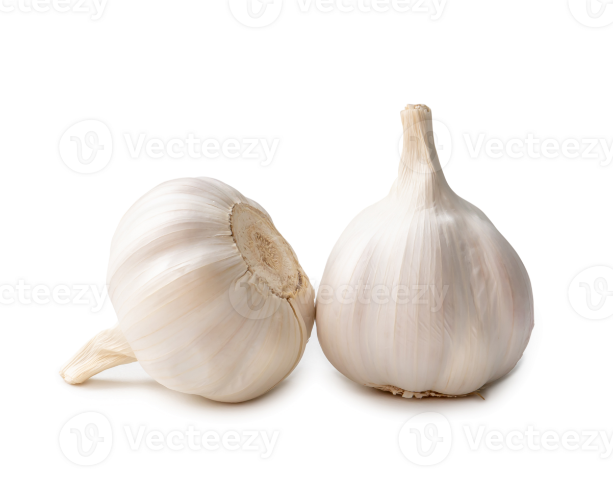 Two fresh white garlic bulbs isolated with clipping path and shadow in png file format, Thai herb is great for healing several severe diseases, heart attack, Hyperlipidemia or Dyslipidemia