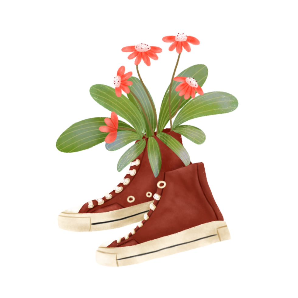 fleur dans des chaussures png