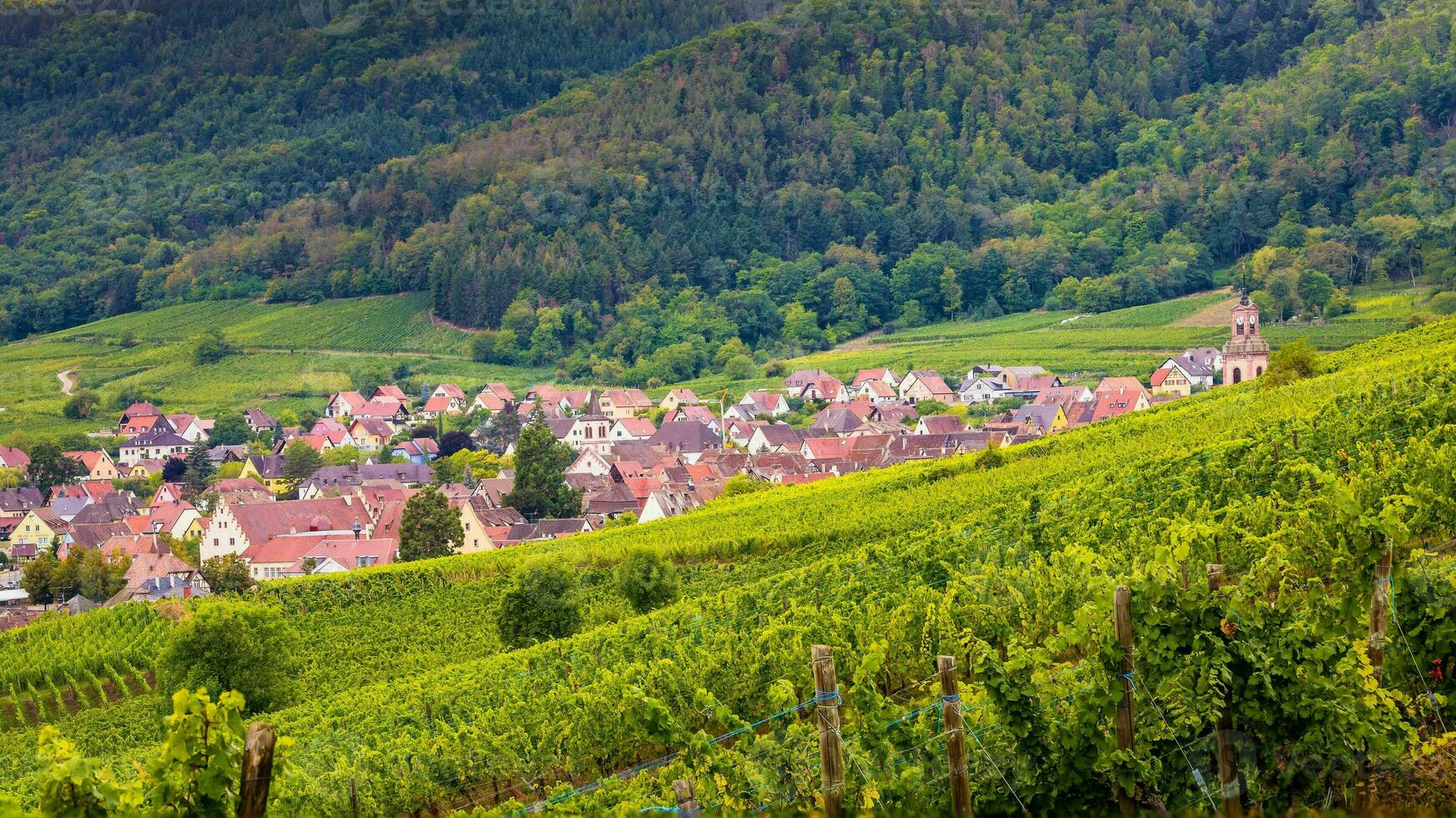 paisaje de Alsacia región en Francia foto