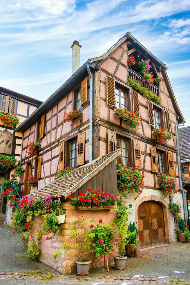 Scenery of Alsace region in France photo