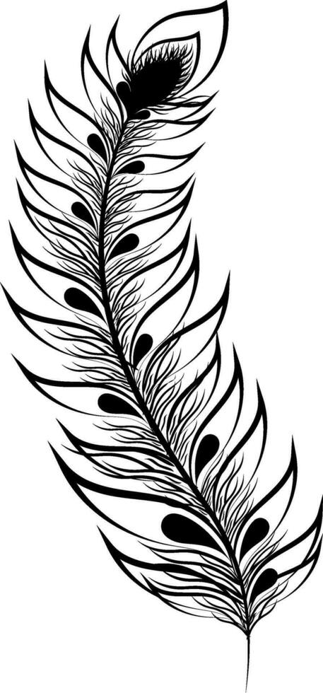 Boho style feather of peaccock. vector