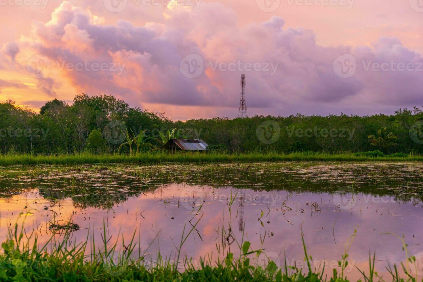 Beautiful morning view indonesia Panorama Landscape paddy fields with beauty photo