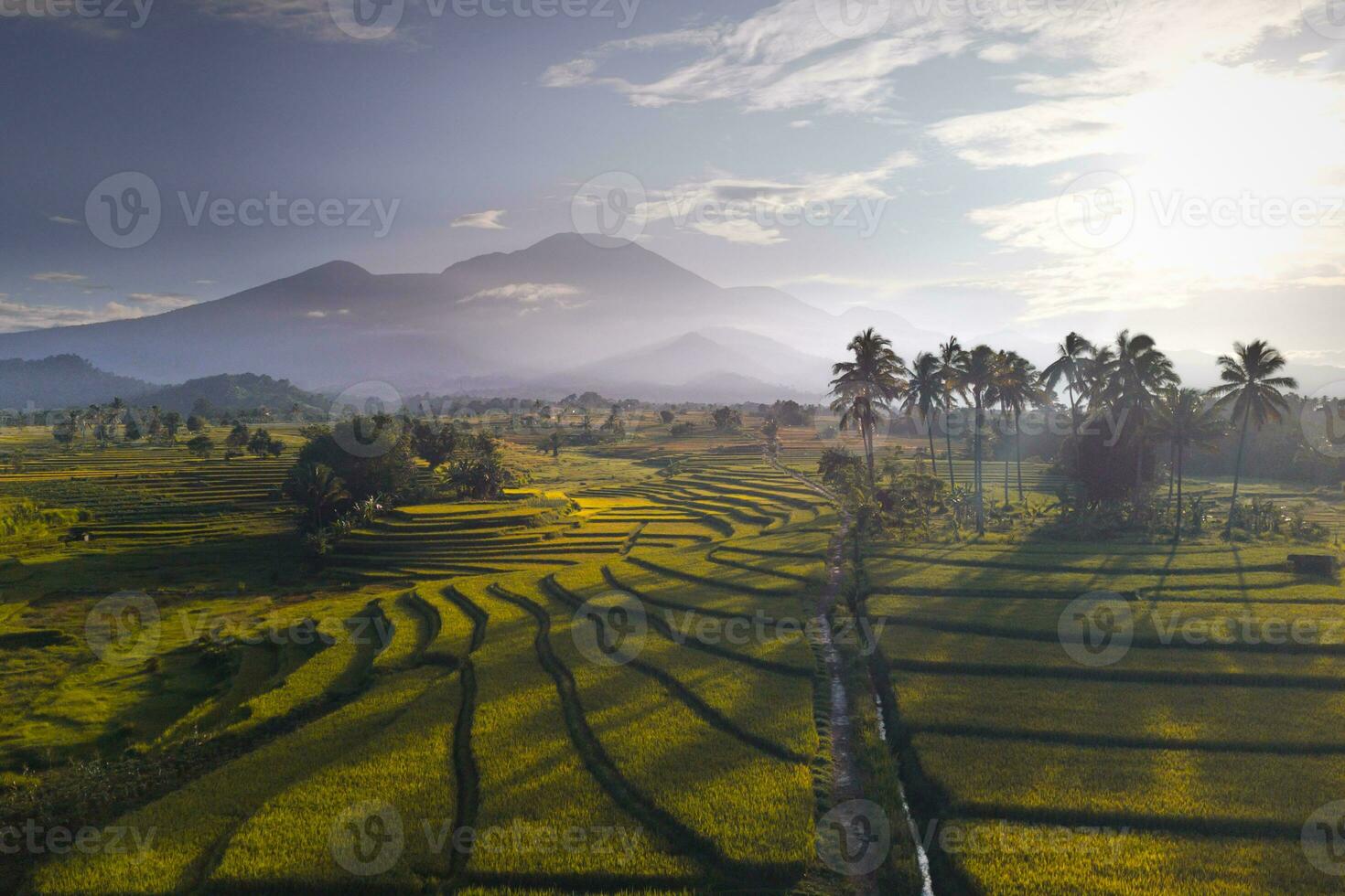 Beautiful morning view indonesia panorama landscape paddy fields with beauty color and sky natural light photo