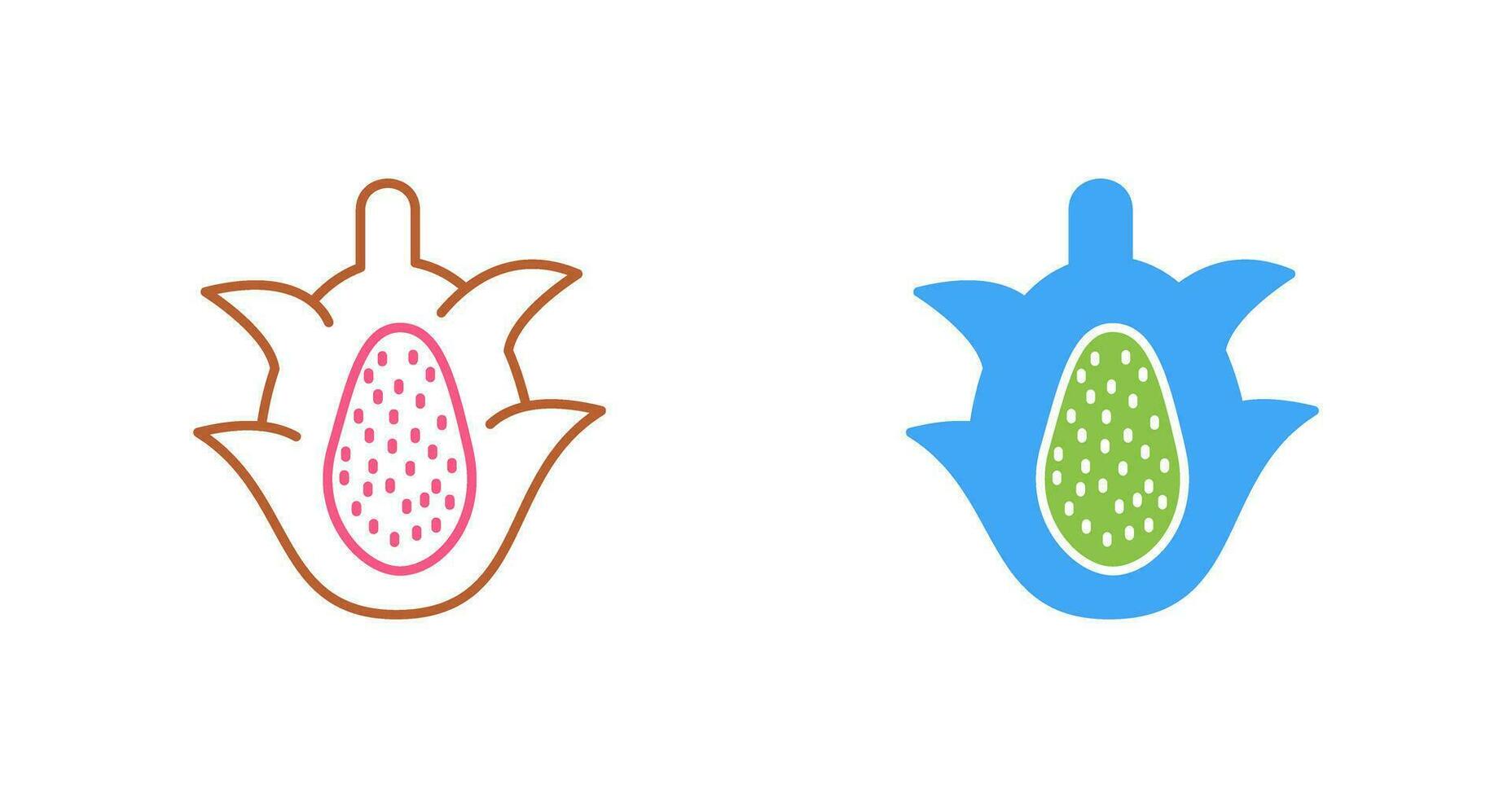 Dragon Fruit Vector Icon
