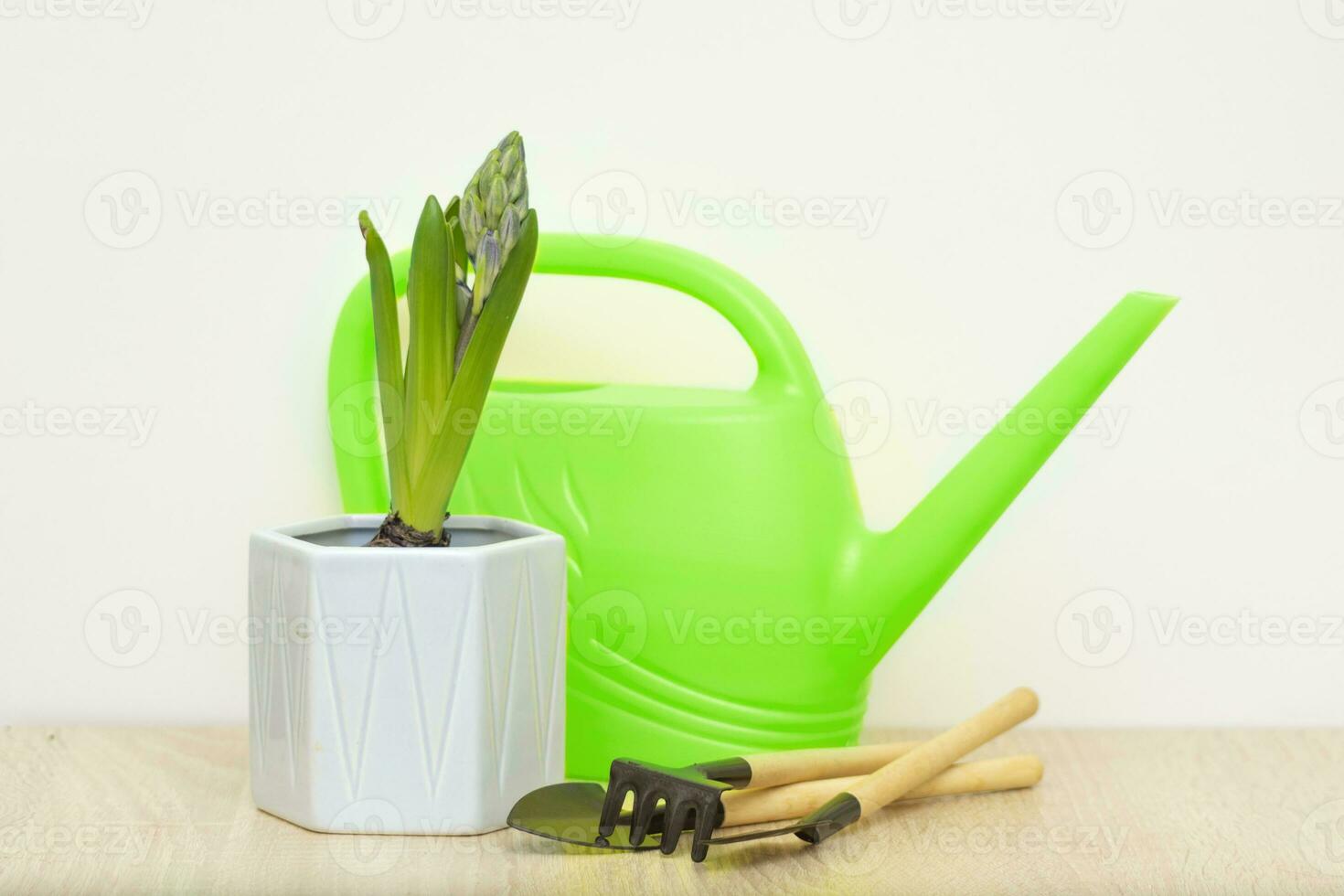 flower in pot, watering can and tools for transplanting plants on the table photo