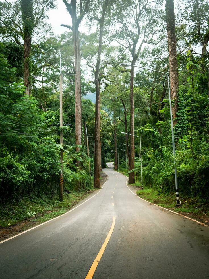 long road travels through villages in rural Thailand through forests, tall trees and mountains on rainy days, perfect for driving Chiang Dao, Chiang Mai. photo