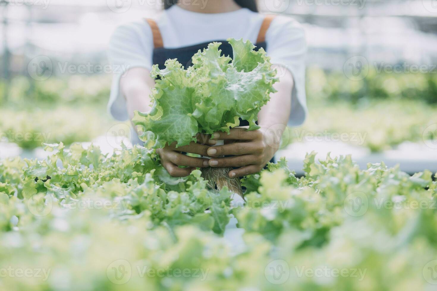 Farmer Plantation checking quality by tablet agriculture modern technology Concept. Smart farming, using modern technologies in agriculture. Man agronomist farmer with digital tablet computer. photo