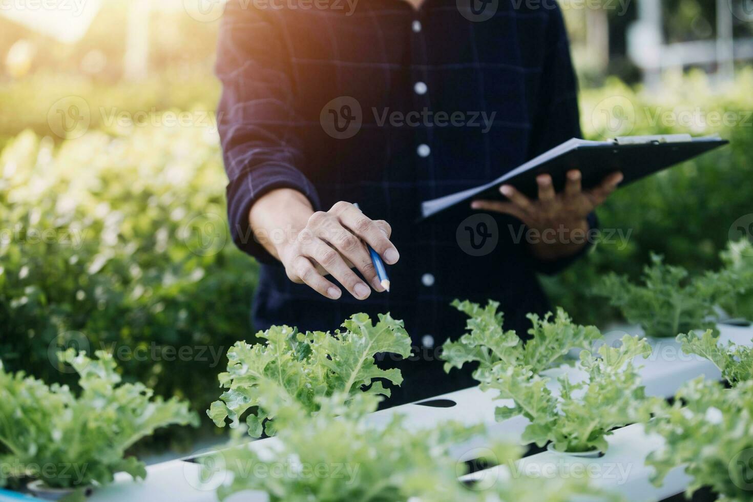 Farmer Plantation checking quality by tablet agriculture modern technology Concept. Smart farming, using modern technologies in agriculture. Man agronomist farmer with digital tablet computer. photo