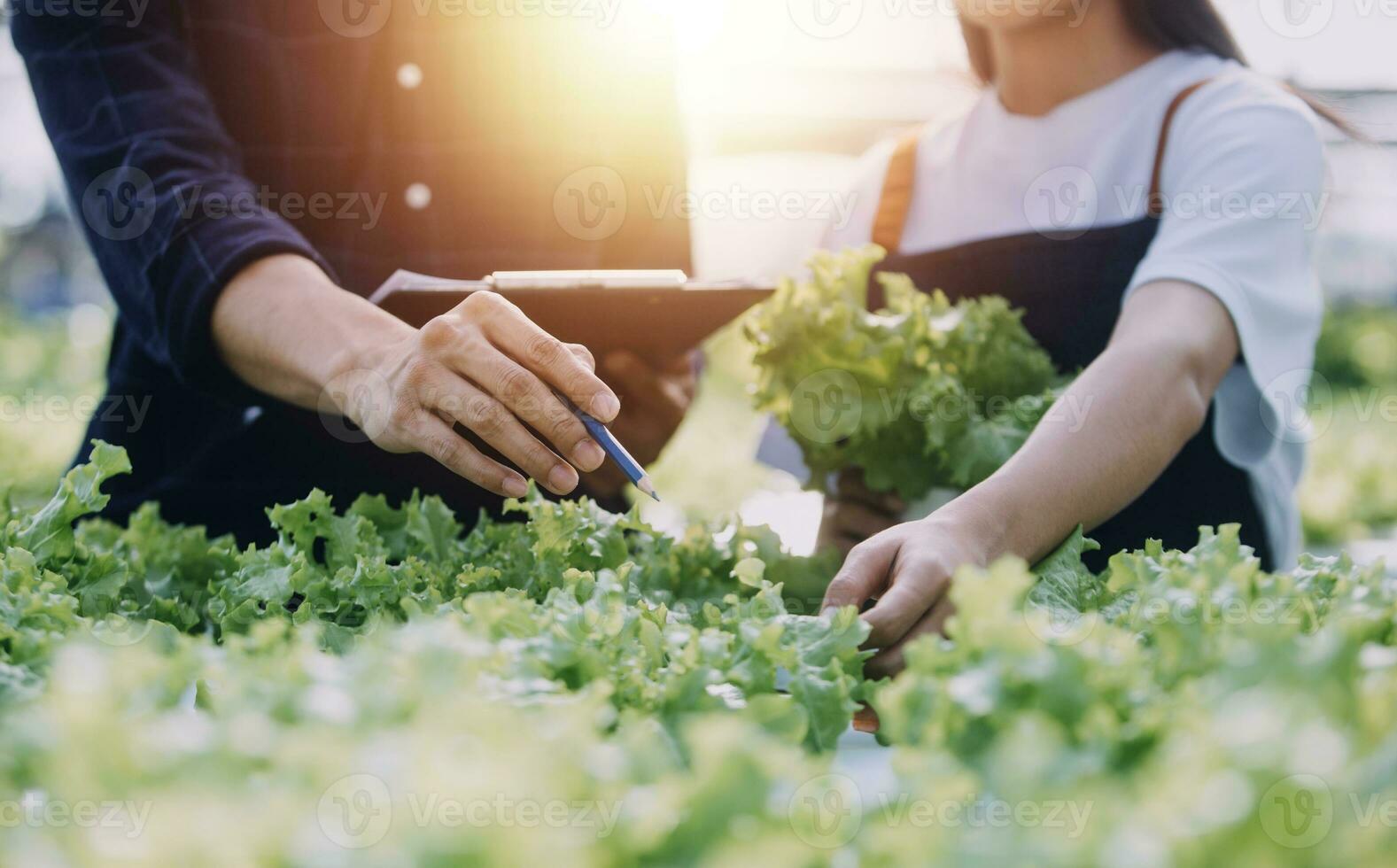 Farmer Plantation checking quality by tablet agriculture modern technology Concept. Smart farming, using modern technologies in agriculture. Man agronomist farmer with digital tablet computer. photo