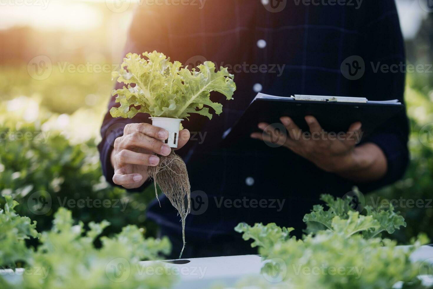 Farmer Plantation checking quality by tablet agriculture modern technology Concept. Smart farming, using modern technologies in agriculture. Man agronomist farmer with digital tablet computer. photo