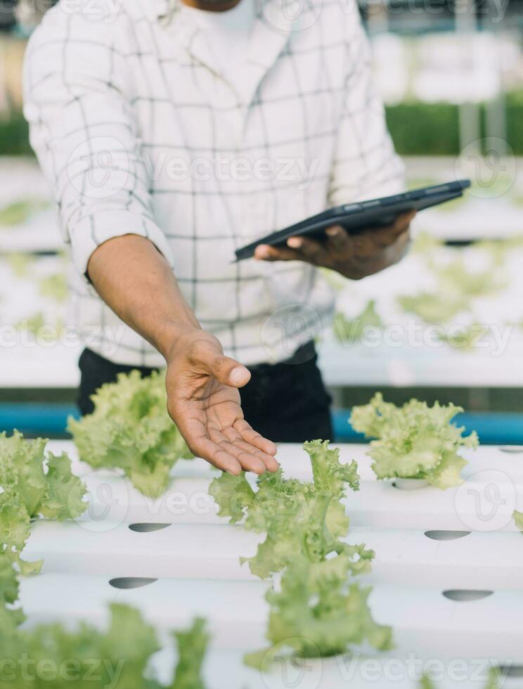 Farmer Plantation checking quality by tablet agriculture modern technology Concept. Smart farming, using modern technologies in agriculture. Man agronomist farmer with digital tablet computer. photo