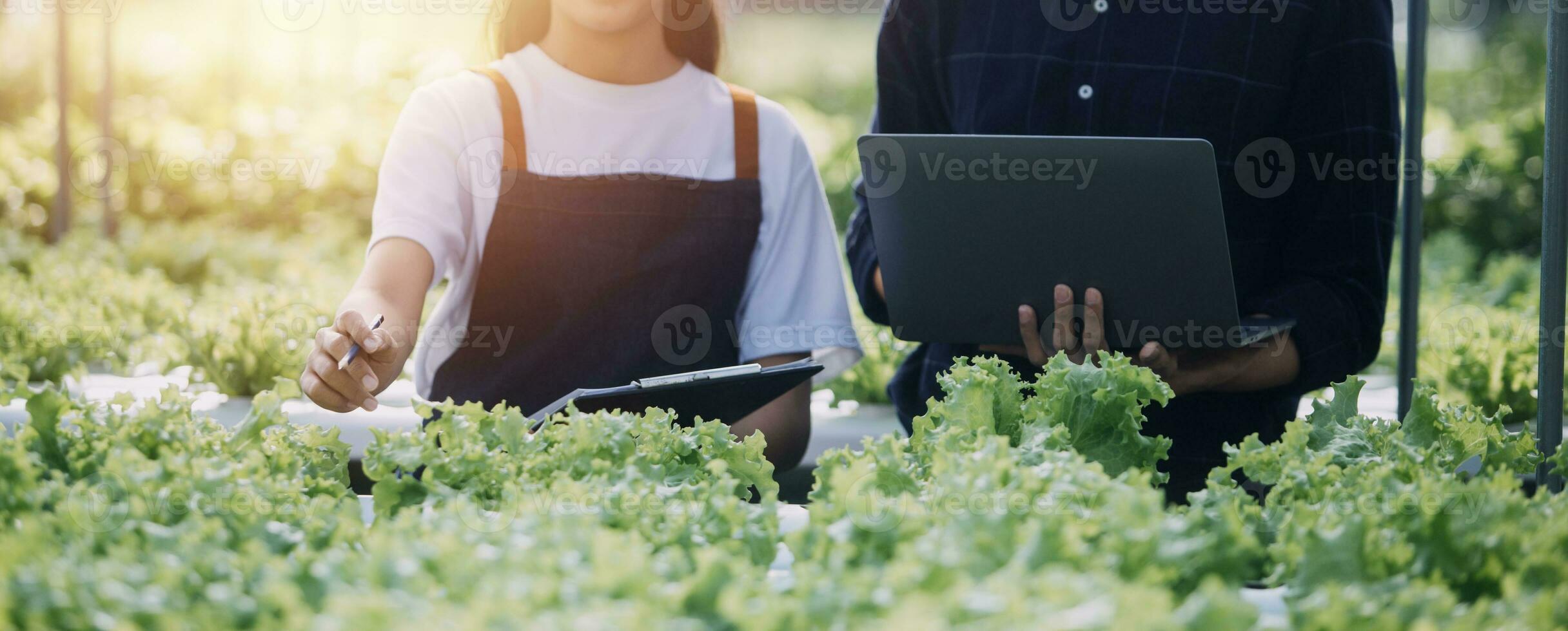 Farmer Plantation checking quality by tablet agriculture modern technology Concept. Smart farming, using modern technologies in agriculture. Man agronomist farmer with digital tablet computer. photo