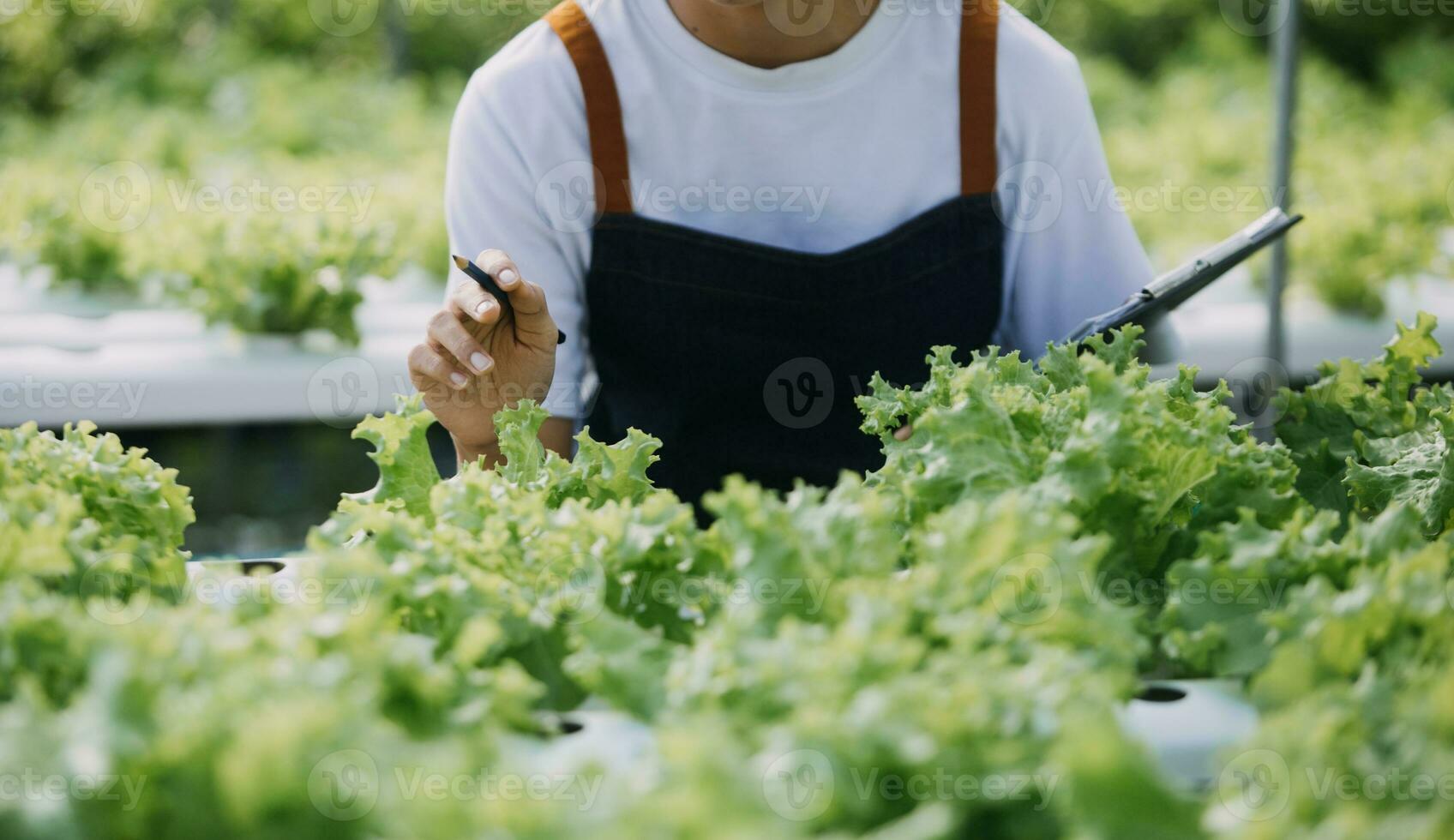 Farmer Plantation checking quality by tablet agriculture modern technology Concept. Smart farming, using modern technologies in agriculture. Man agronomist farmer with digital tablet computer. photo