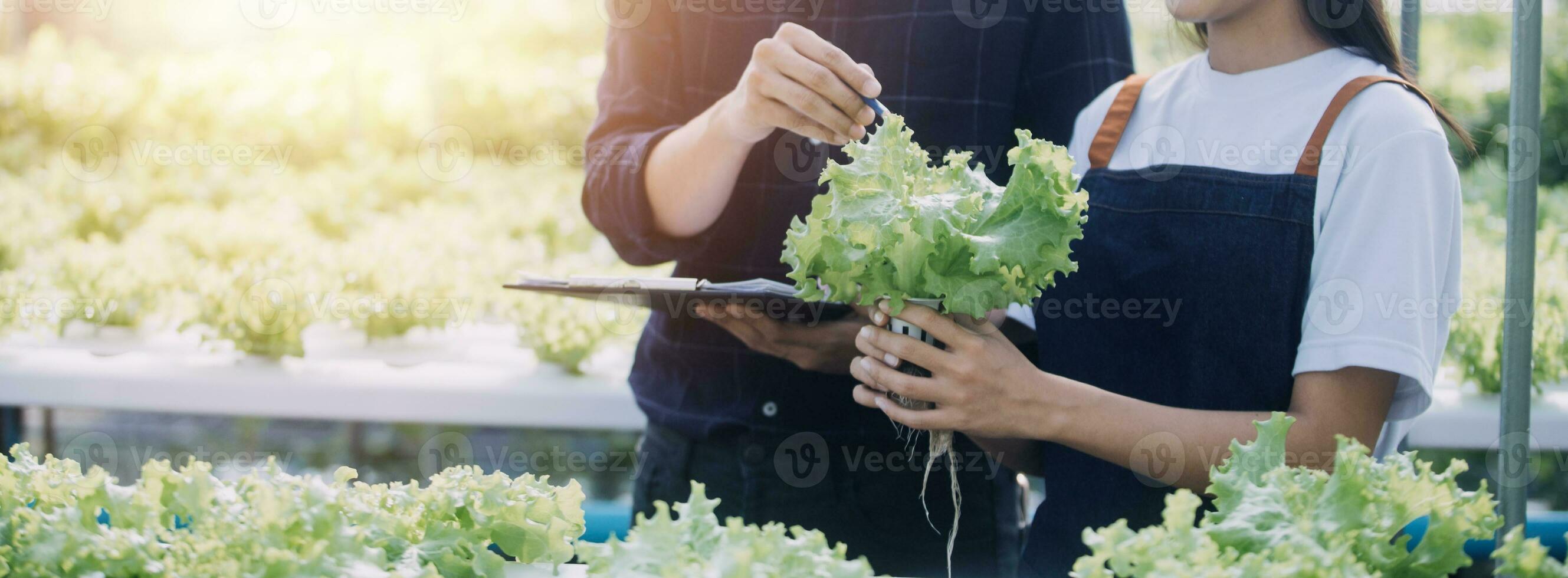 Farmer Plantation checking quality by tablet agriculture modern technology Concept. Smart farming, using modern technologies in agriculture. Man agronomist farmer with digital tablet computer. photo