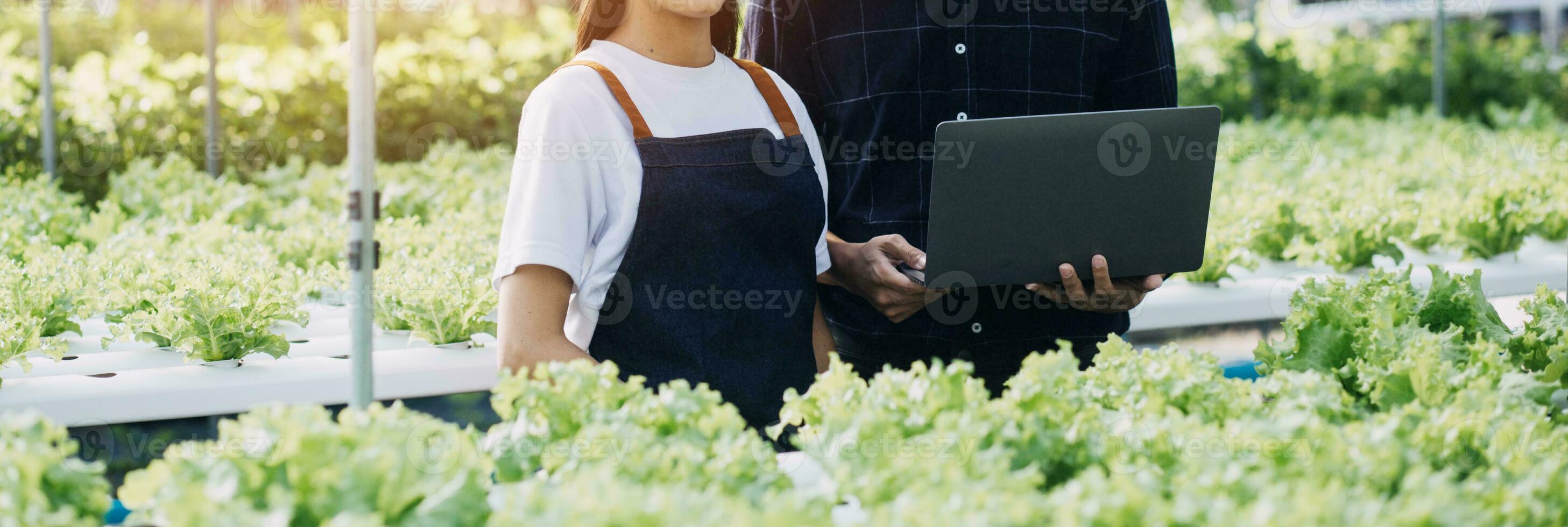 Farmer Plantation checking quality by tablet agriculture modern technology Concept. Smart farming, using modern technologies in agriculture. Man agronomist farmer with digital tablet computer. photo