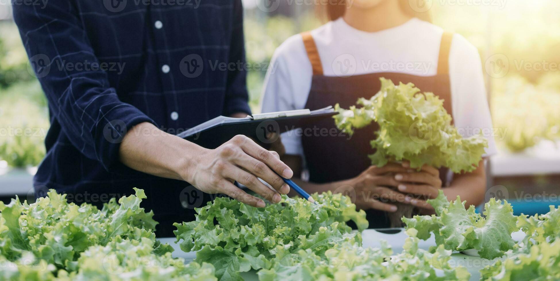 Farmer Plantation checking quality by tablet agriculture modern technology Concept. Smart farming, using modern technologies in agriculture. Man agronomist farmer with digital tablet computer. photo