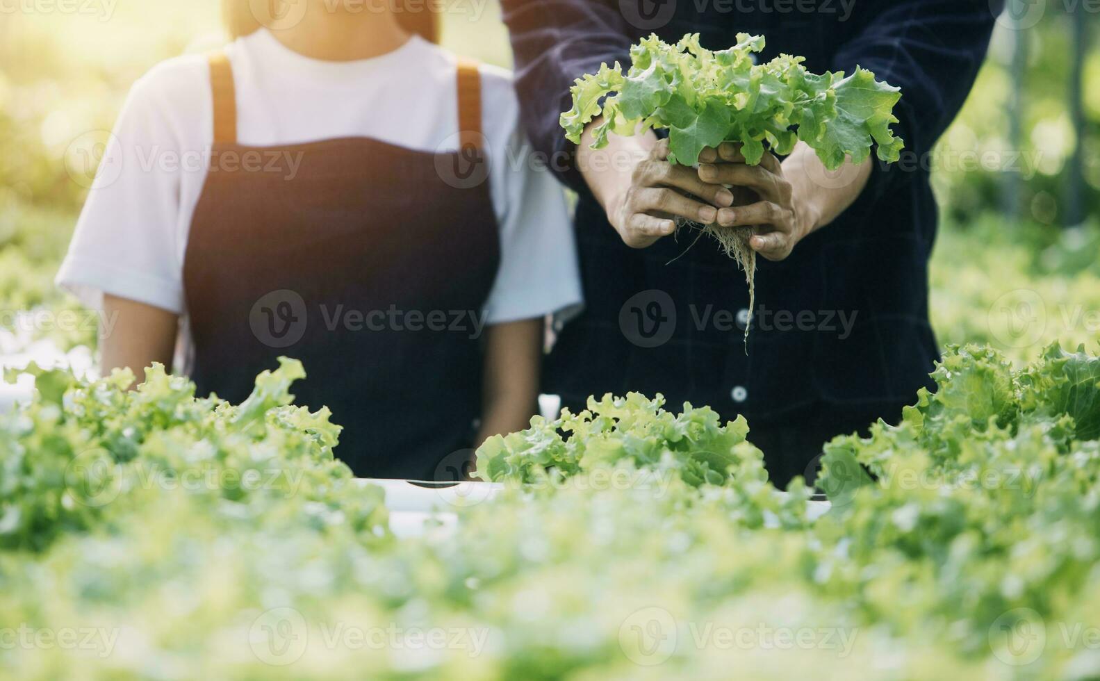 Farmer Plantation checking quality by tablet agriculture modern technology Concept. Smart farming, using modern technologies in agriculture. Man agronomist farmer with digital tablet computer. photo