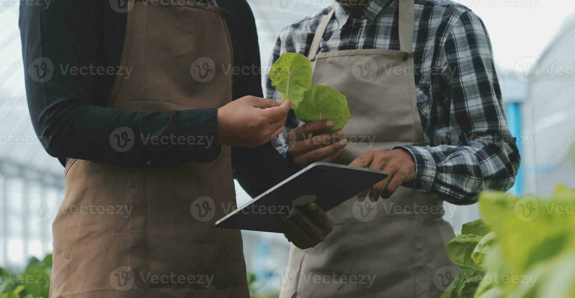 mujer en el hidropónico vegetal granja crece venta al por mayor hidropónico vegetales en restaurantes y supermercados, orgánico vegetales. nuevo generaciones creciente vegetales en hidroponia concepto foto