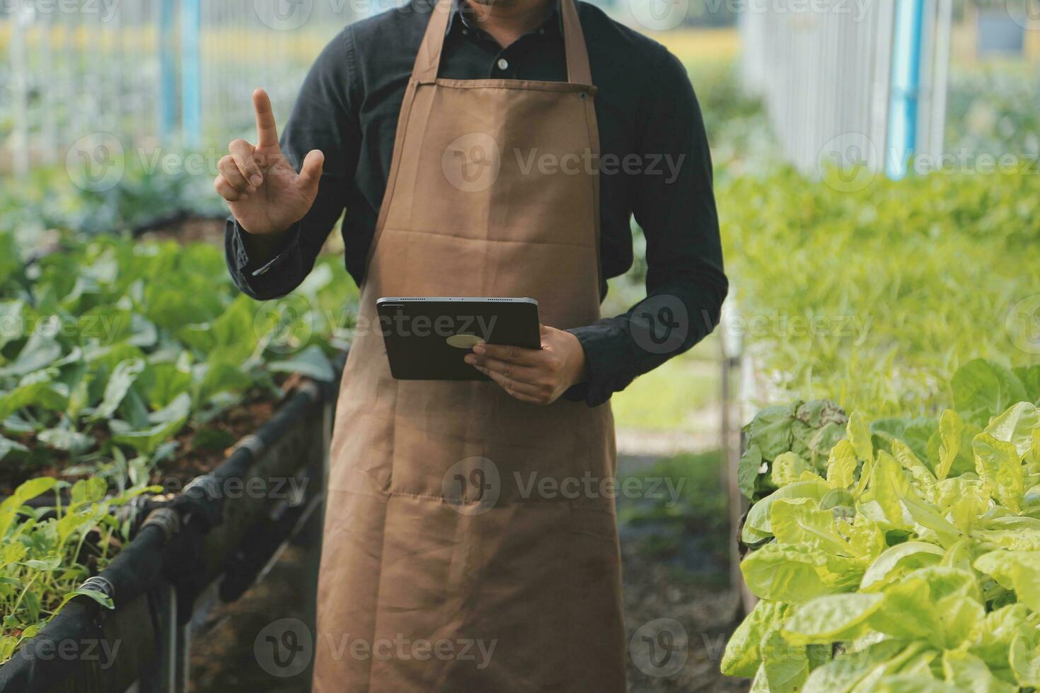 woman in the hydroponic vegetable farm grows wholesale hydroponic vegetables in restaurants and supermarkets, organic vegetables. new generations growing vegetables in hydroponics concept photo
