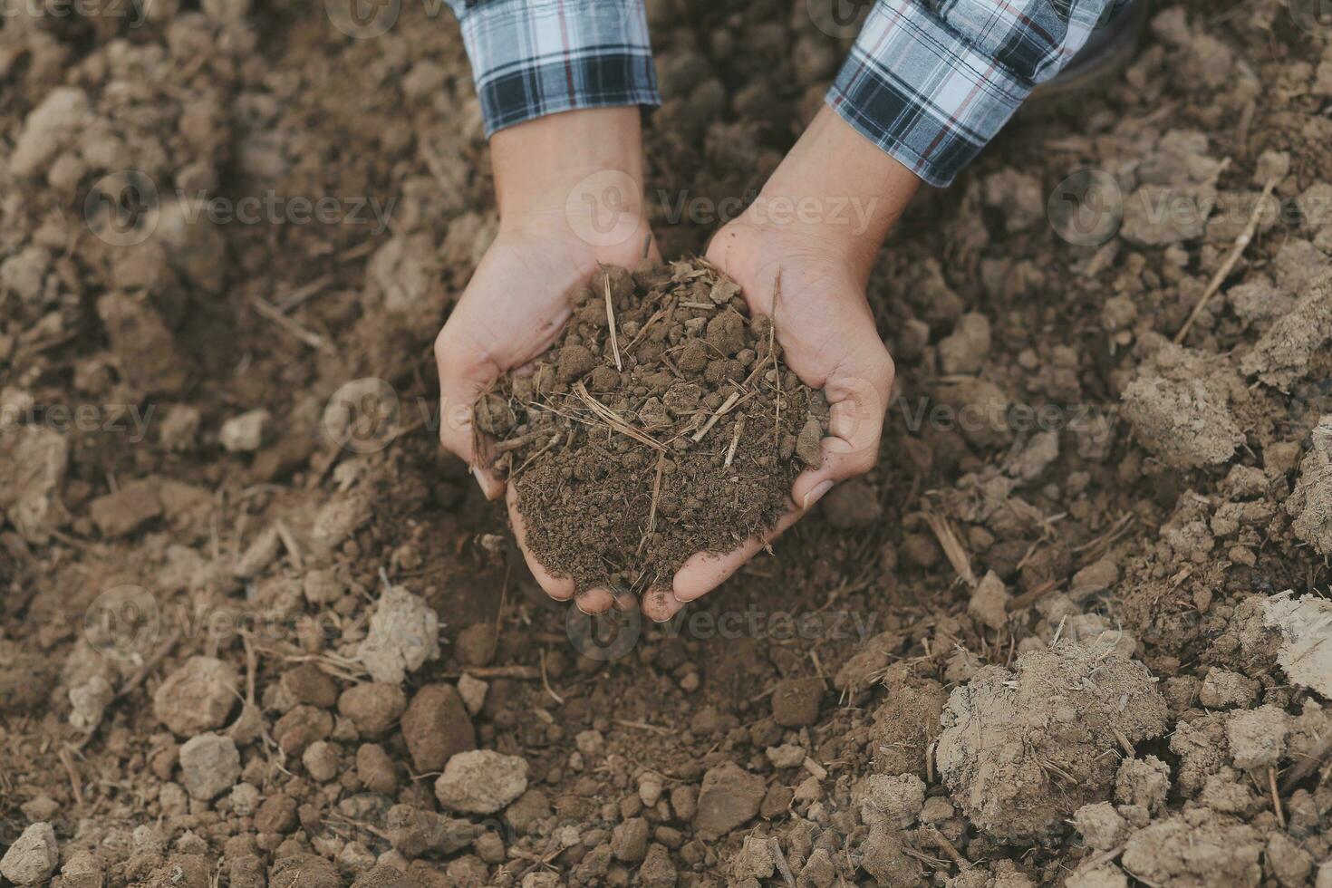 Male hands touching soil on the field. A farmer checks quality of soil before sowing. Agriculture, gardening or ecology concept. photo