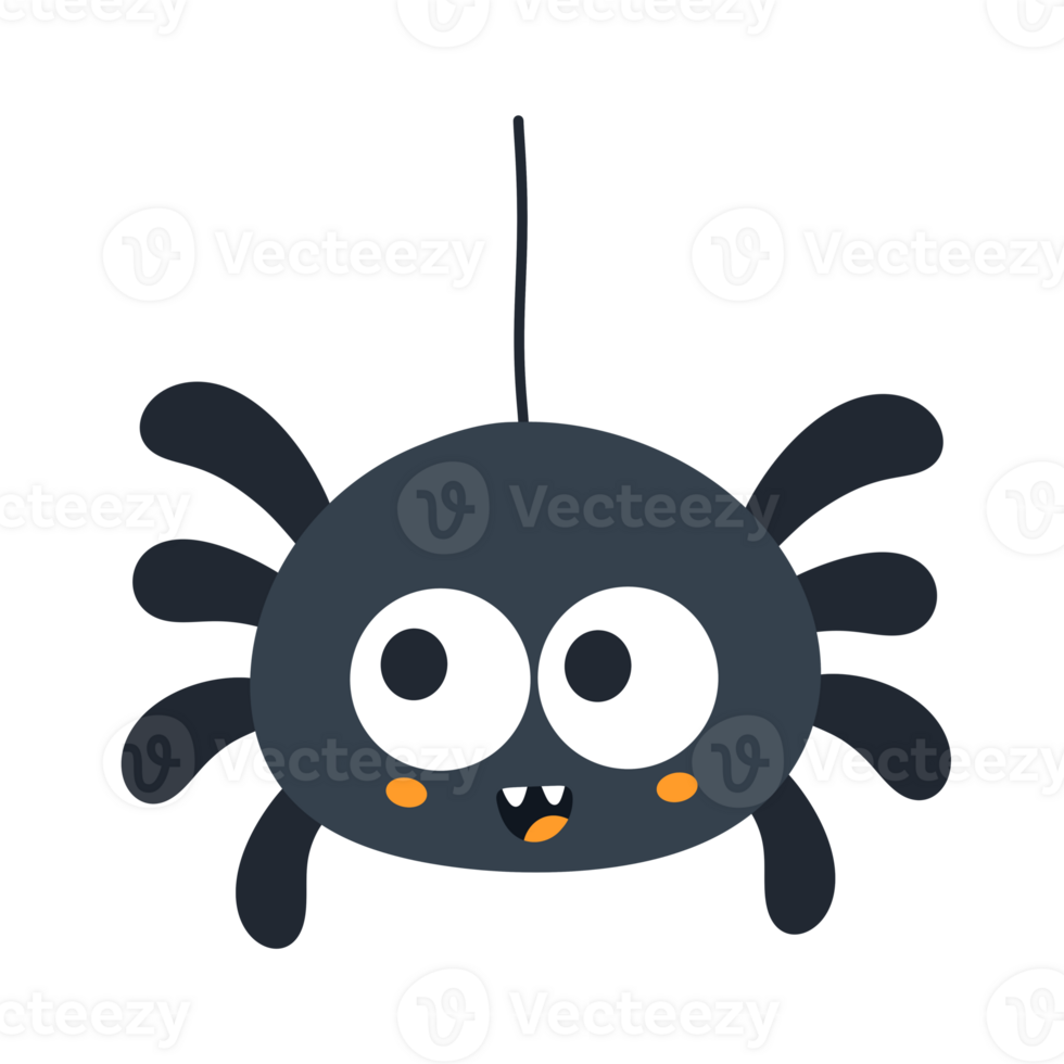 Cute black spider halloween icon. png