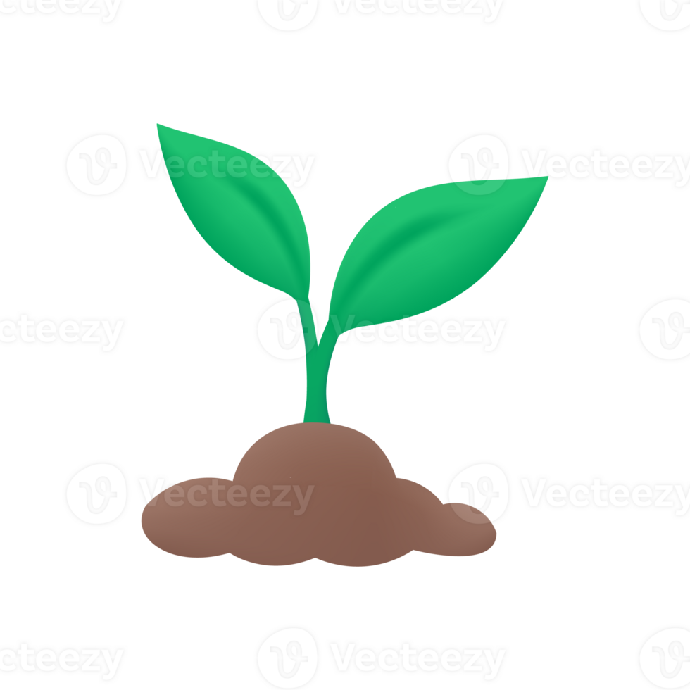 The sapling is growing into a big tree. png