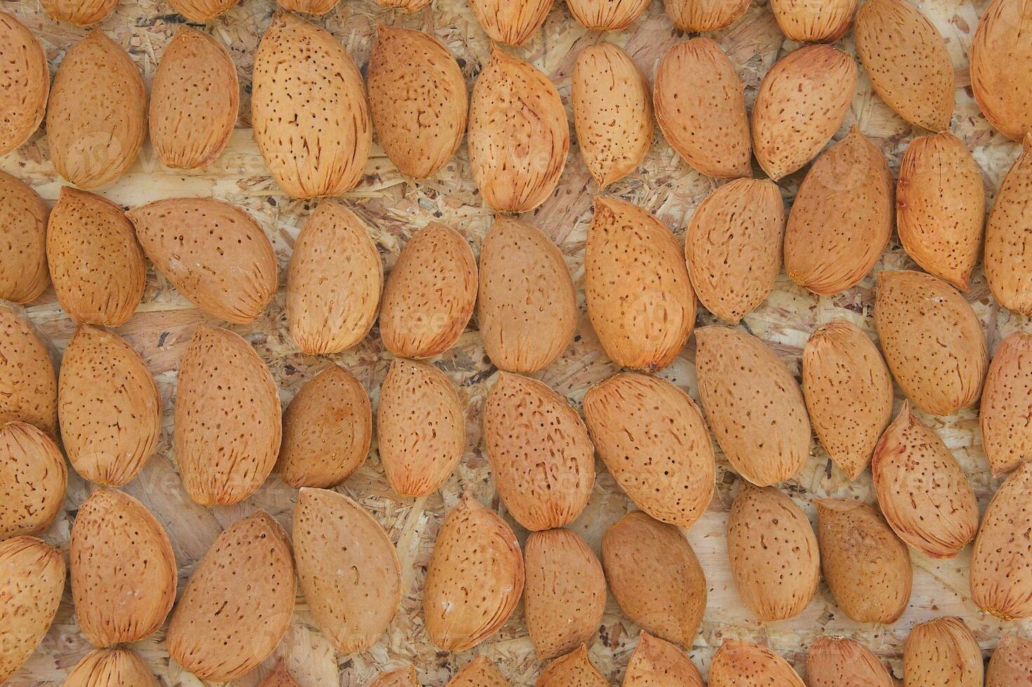 Not peeled almond- background photo