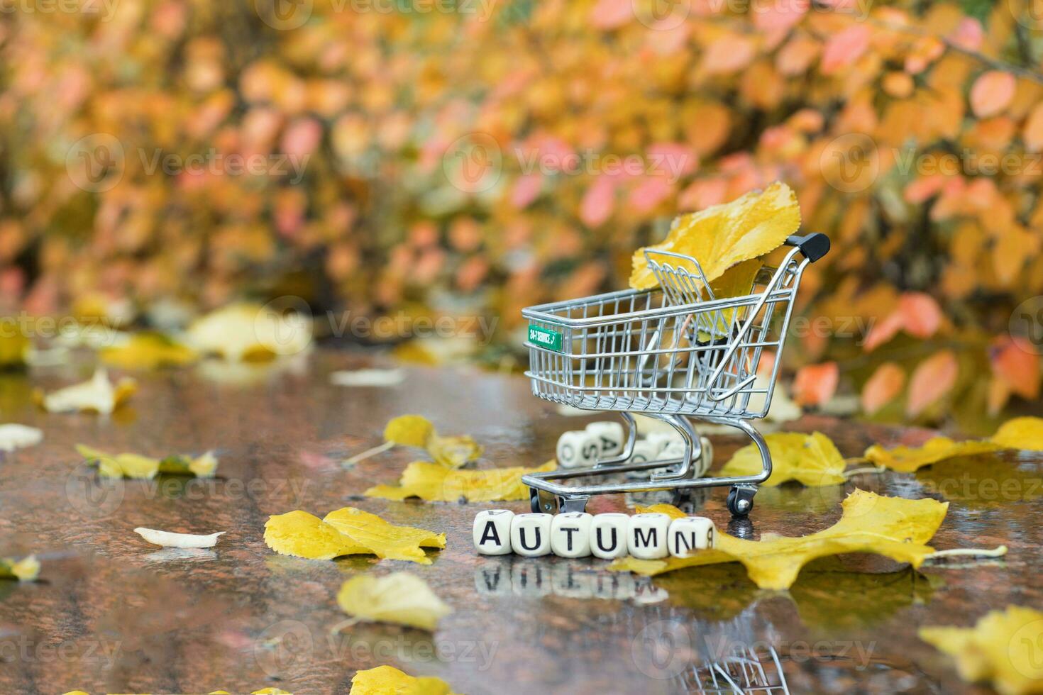 Word AUTUMN is composed of wooden letters. , Mini shopping cart on a wet marble stone in autumn period. photo