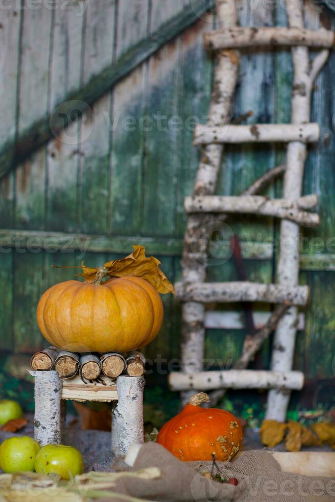 Orange pumpkin on a handmade chair. Closeup photo