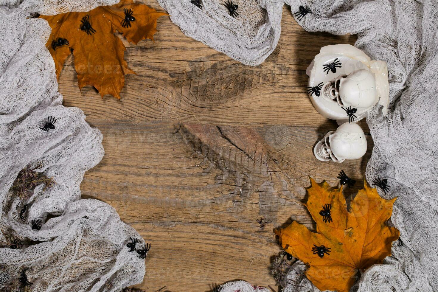 Halloween background. Free space for a text photo