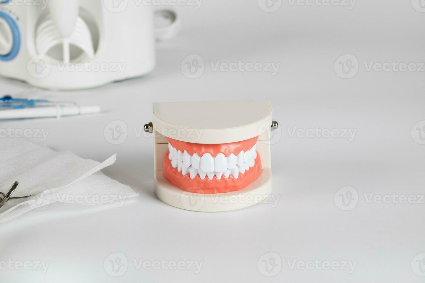 dientes y mandíbula modelo. de cerca foto