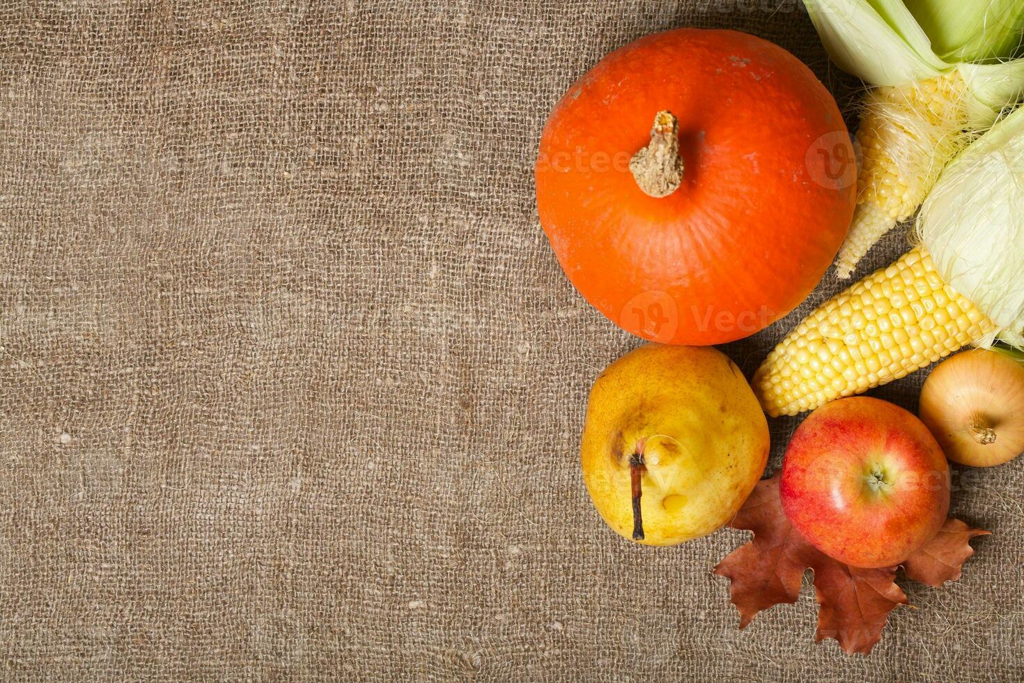 Fruits and vegetables. Top view photo