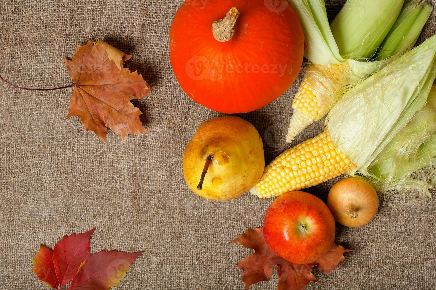 Fruits and vegetables. Top view photo