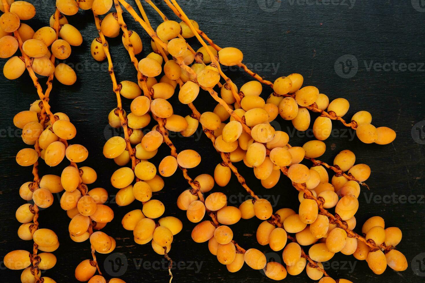 Not matured dates - background photo