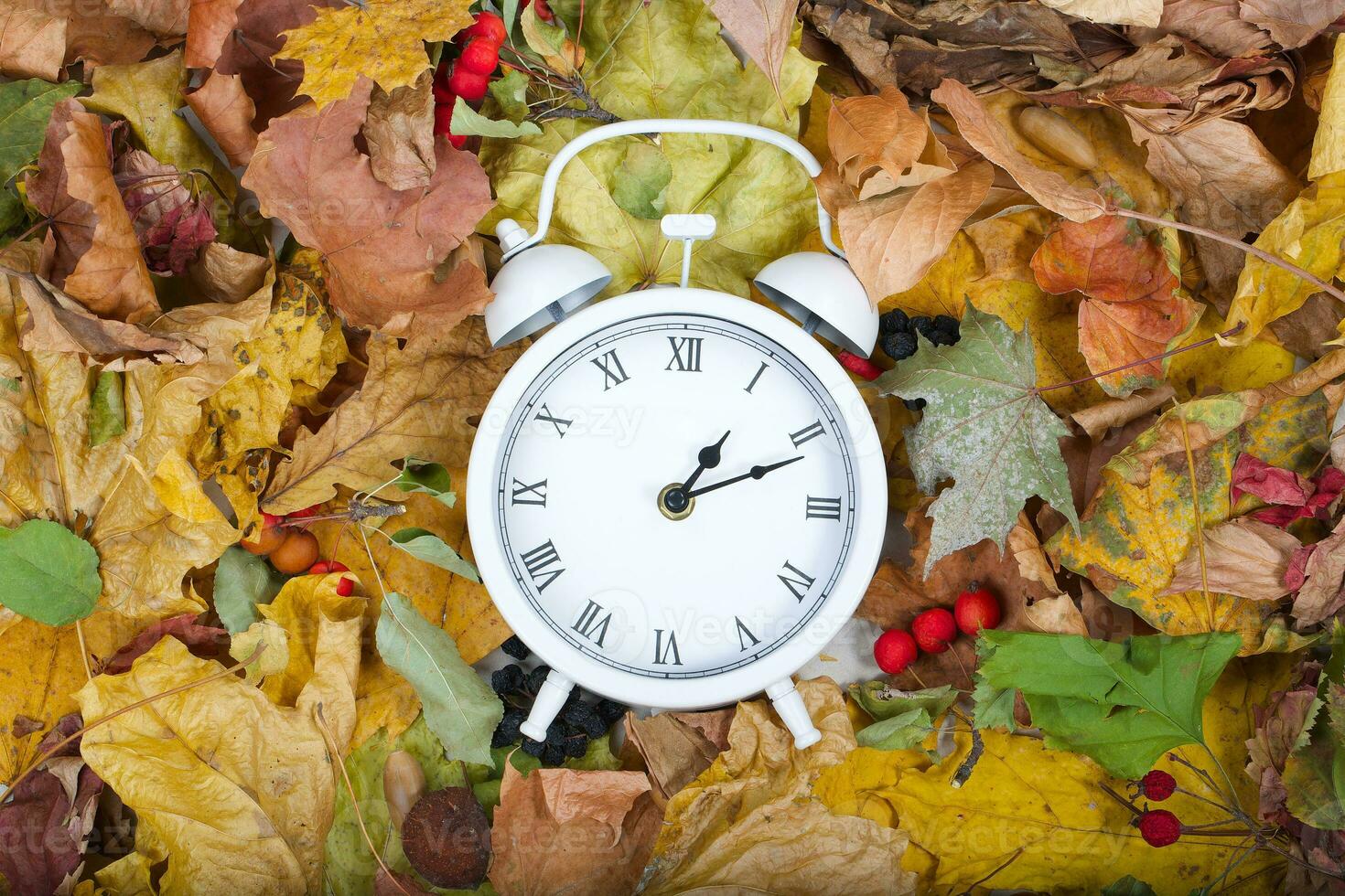 Vintage clock on dry leaves photo