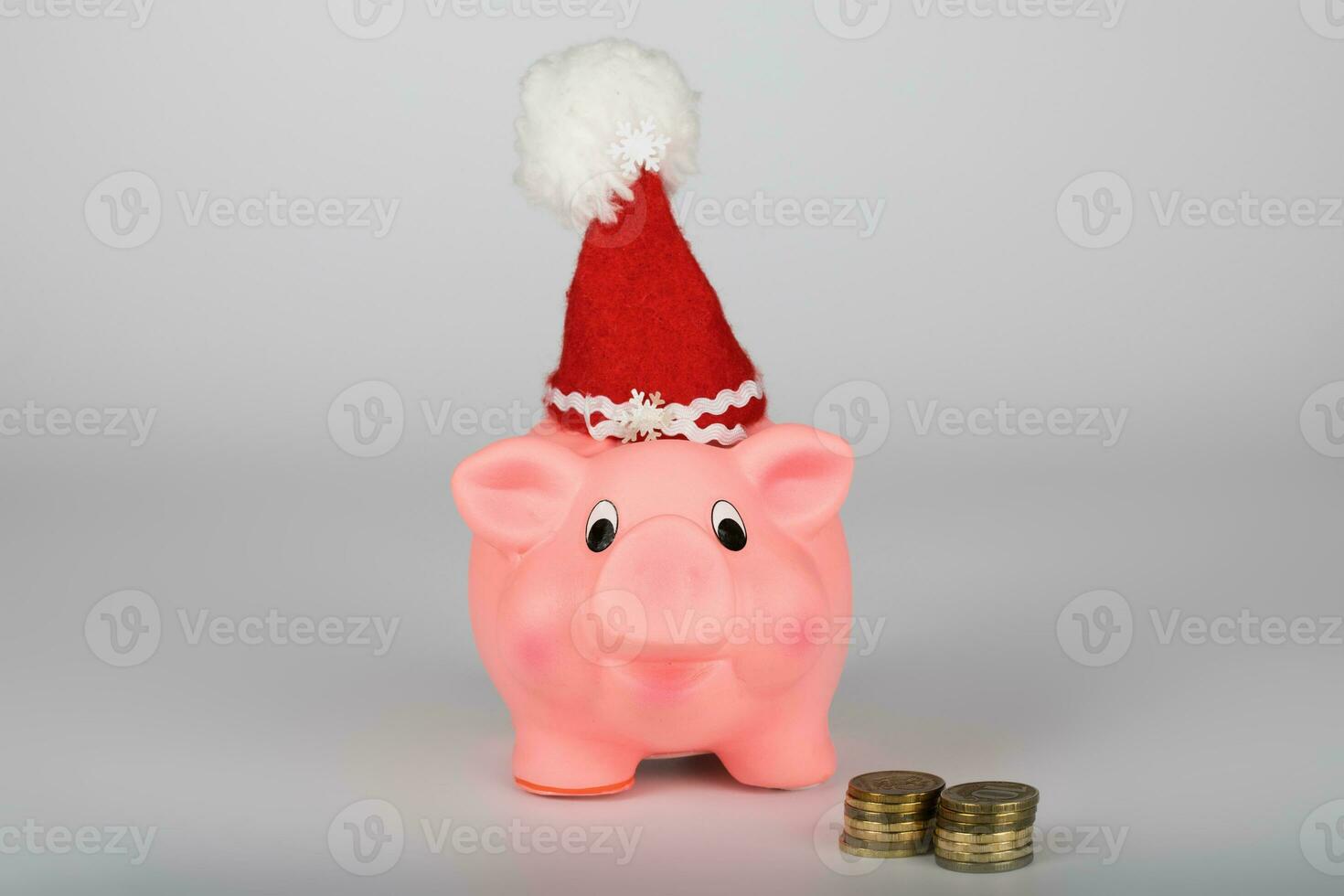 Pink piglet in a Santa Claus hat. photo