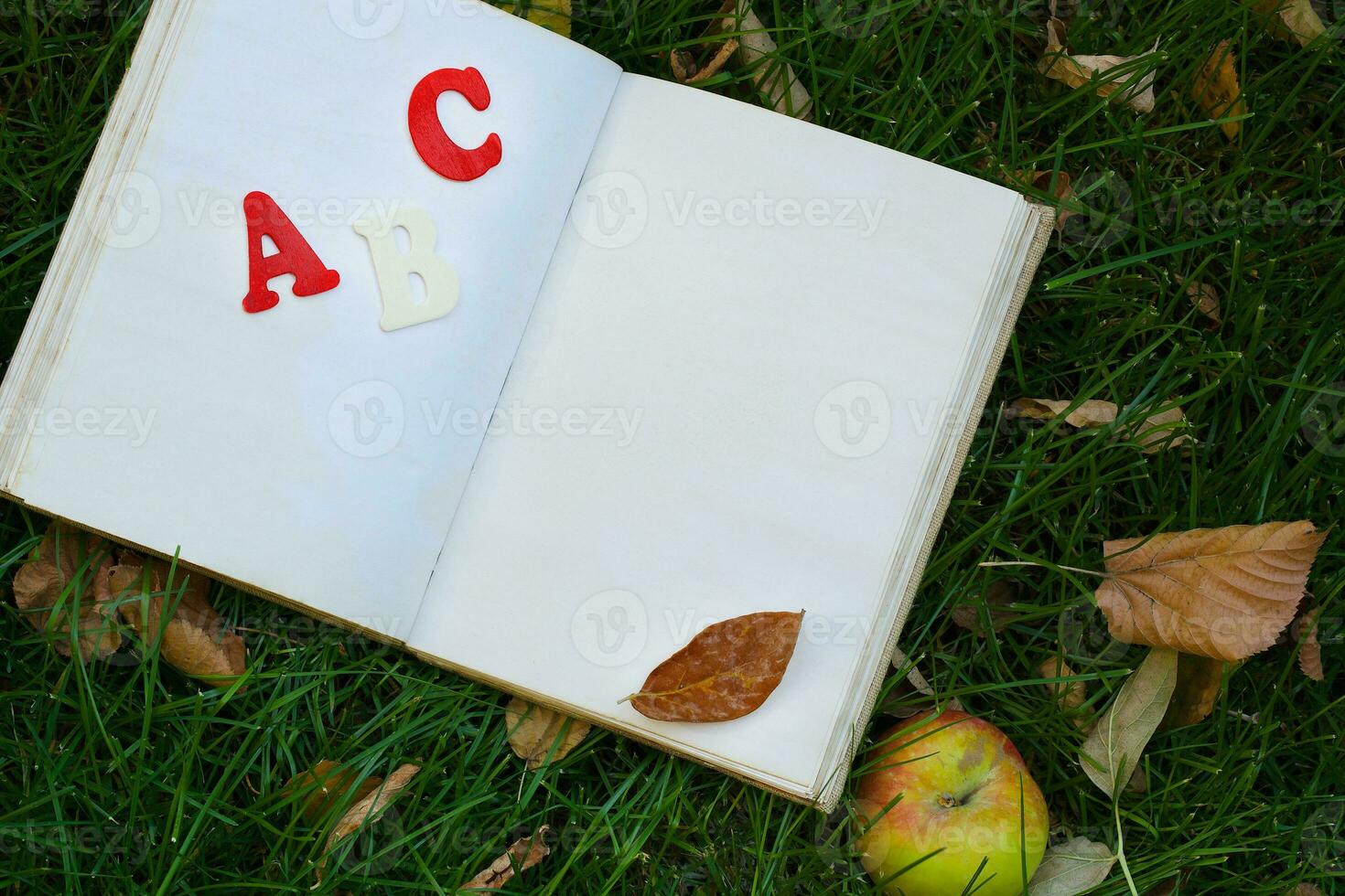 Book and a red apple on a green grass. photo