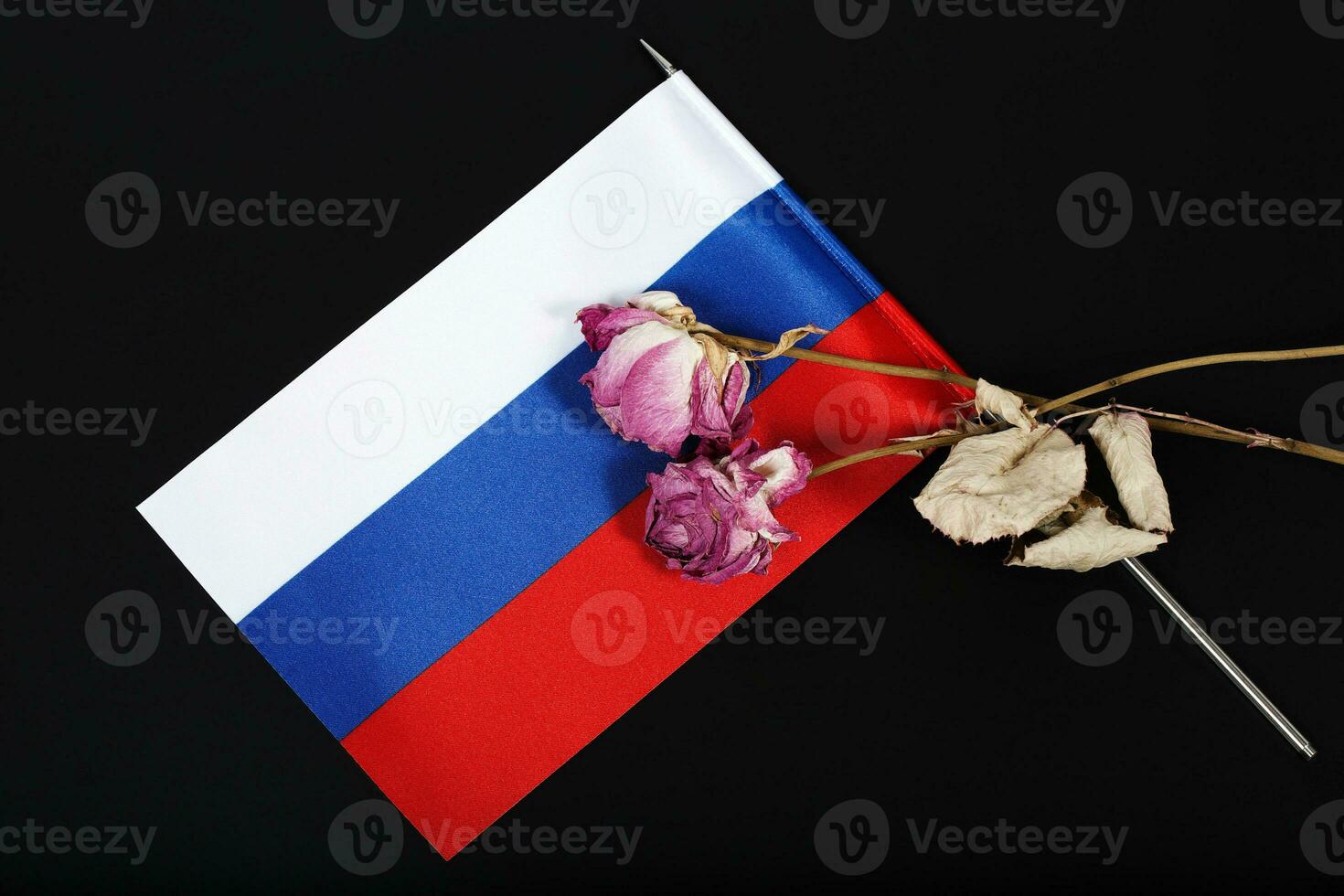 A small flag of Russia and two dried flowers. Background photo