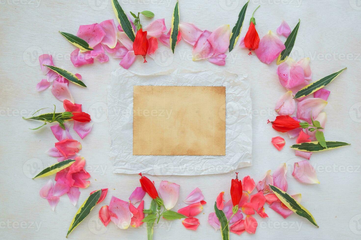 Flowers composition - background. photo